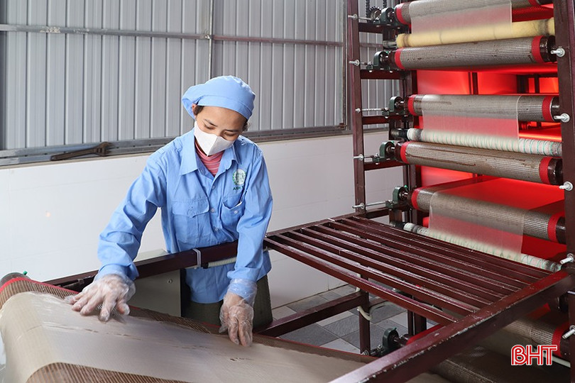 Các chủ cơ sở sản xuất sản phẩm OCOP ở Hà Tĩnh đã chú trọng đầu tư dây chuyền sản xuất hiện đại, tiết giảm chi phí lao động. 076-2706-2160.jpg