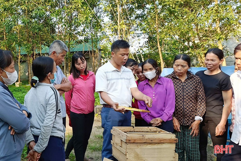HTX Mật ong Cường Nga chuyển giao kỹ thuật nuôi ong và bao tiêu sản phẩm mật ong cho người dân các xã của huyện Hương Sơn. z5974204863608-923df5252d46ccd35dd8766df2c5767e-2925-640.jpg