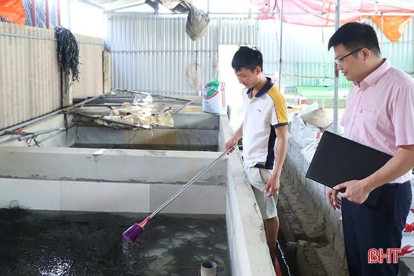 Anh Trần Thế Bình (Can Lộc) vừa vay 80 triệu đồng chương trình GQVL để mở rộng quy mô nuôi lươn thương phẩm. bqbht_br_440.jpg