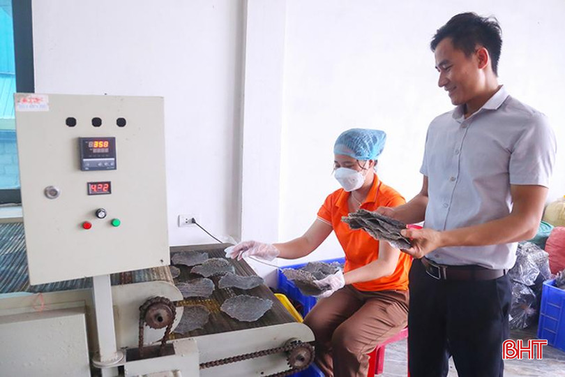 -đầu tư máy móc sản xuất bánh đa vừng theo tiêu chuẩn xuất khẩu. IMG_9801 (1).JPG