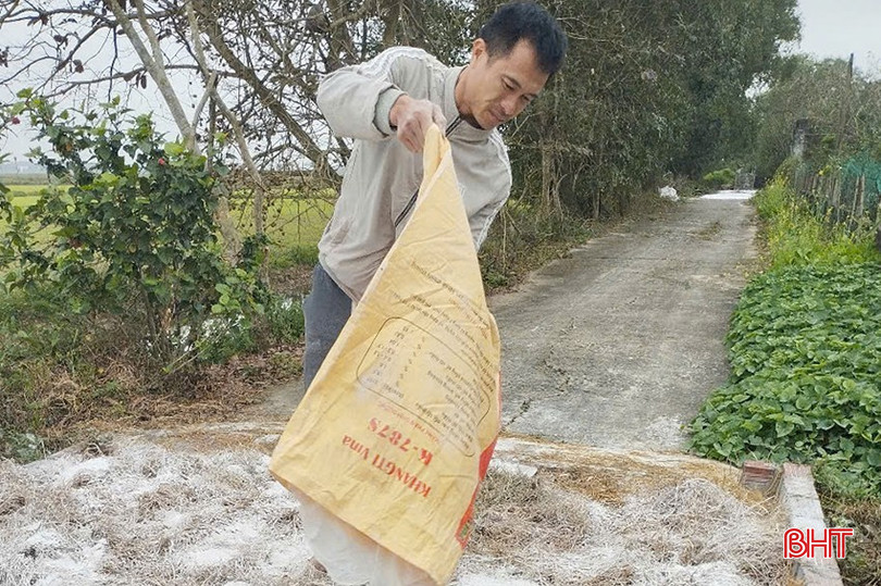 Người dân xã Yên Hòa thực hiện tiêu độc khử trùng, phòng chống DTLCP. bqbht_br_z6446316163928-8c3fcdef41b9c868c2193ab5e43a23b1.jpg
