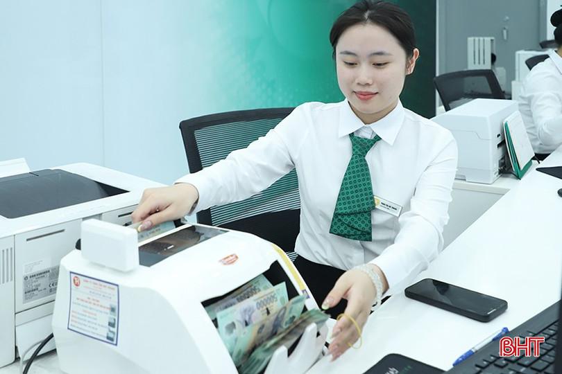 Các tổ chức tín dụng tạo điều kiện để các HTX vay vốn đầu tư sản xuất, kinh doanh. bqbht_br_img-5679.jpg