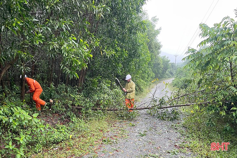 Công nhân Điện lực Kỳ Anh tập trung phát quang hành lang lưới điện. bqbht_br_z5975603045727-c2e98e10364228867b498737122a538d.jpg