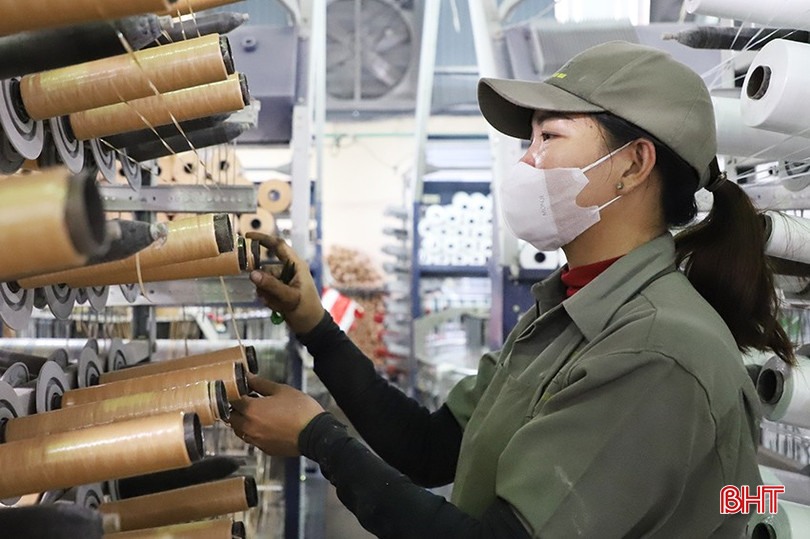 Doanh nghiệp xuất khẩu Hà Tĩnh đã tận dụng cơ hội mở rộng thị trường từ các FTA. bqbht_br_0956.jpg