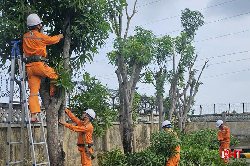 Công nhân Đội Quản lý vận hành lưới điện cao thế Hà Tĩnh phát quang hành lang an toàn lưới điện. z5839995093135_4a17d2d514dbc57daa2499252f320787.jpg