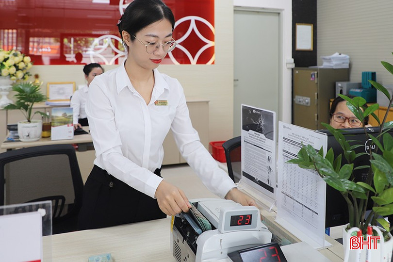 Tính đến 31/8/2024, tổng dư nợ của các tổ chức tín dụng trên địa bàn đạt khoảng 102.919 tỷ đồng. 04.jpg
