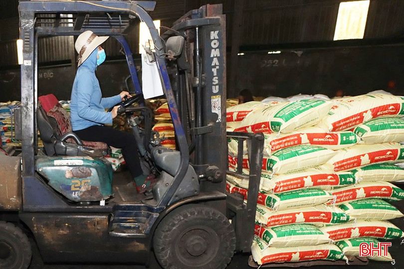 Ngoài sản xuất thức ăn chăn nuôi, Công ty CP Thức ăn chăn nuôi Thiên Lộc tiếp tục phát triển chuỗi liên kết chăn nuôi lợn. bqbht_br_056.jpg