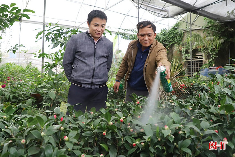 Vốn tín dụng chính sách tạo thêm nguồn lực để anh Nguyễn Hà Vinh (xã Thạch Long, Thạch Hà) đầu tư hiệu quả mô hình kinh tế trồng và cung ứng cây xanh, cây cảnh. bqbht_br_054.jpg