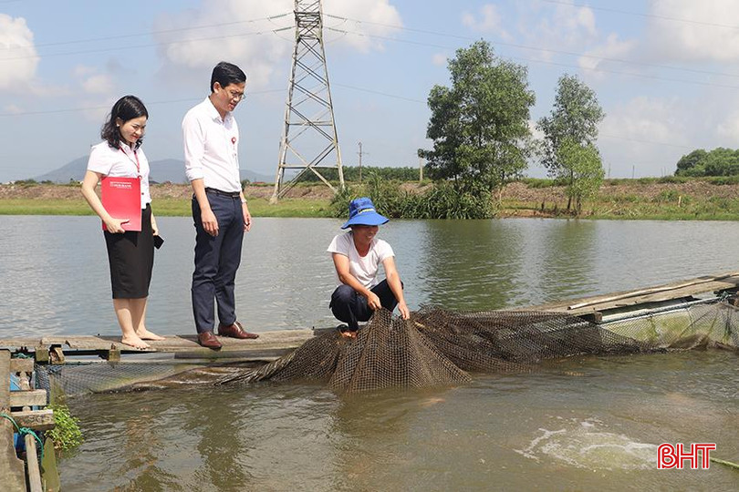 Nhiều mô hình kinh tế nông nghiệp tiềm năng ở Hà Tĩnh ra đời nhờ nguồn vốn vay ngân hàng. 097.jpg