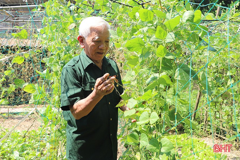 Gia đình ông Phan Văn Đại là một trong những hộ đầu tiên xây dựng vườn mẫu, góp phần đưa xã Trung Lộc (cũ) - Can Lộc về đích nông thôn mới. bqbht_br_44.jpg