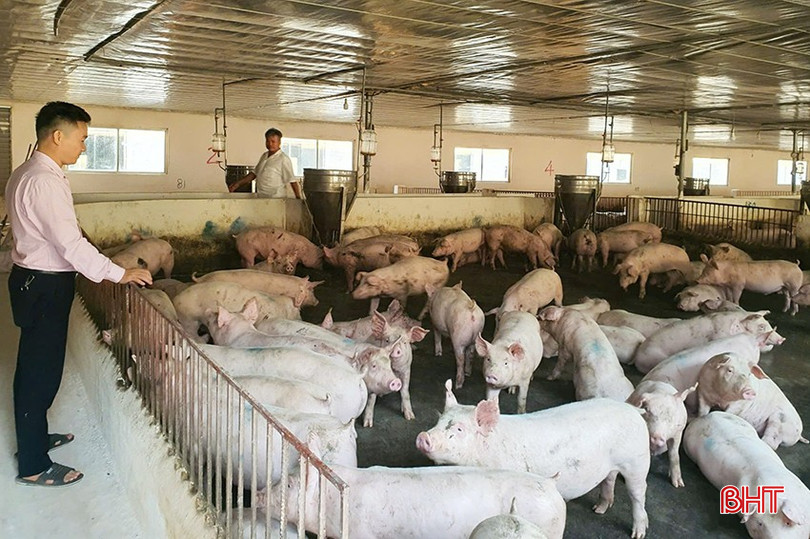 Cán bộ Ngân hàng CSXH huyện Hương Khê kiểm tra việc sử dụng nguồn vốn vay của người dân. z5850110580511-f28ccaf96c44e0205dfca5a4e7c1c4f3-7001.jpg