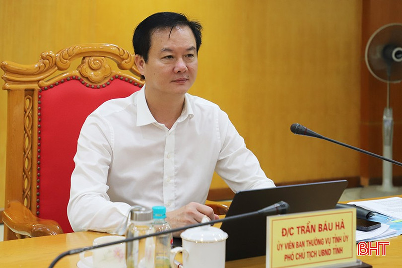 Phó Chủ tịch UBND tỉnh Trần Báu Hà phát biểu tại buổi làm việc. bqbht_br_17.jpg
