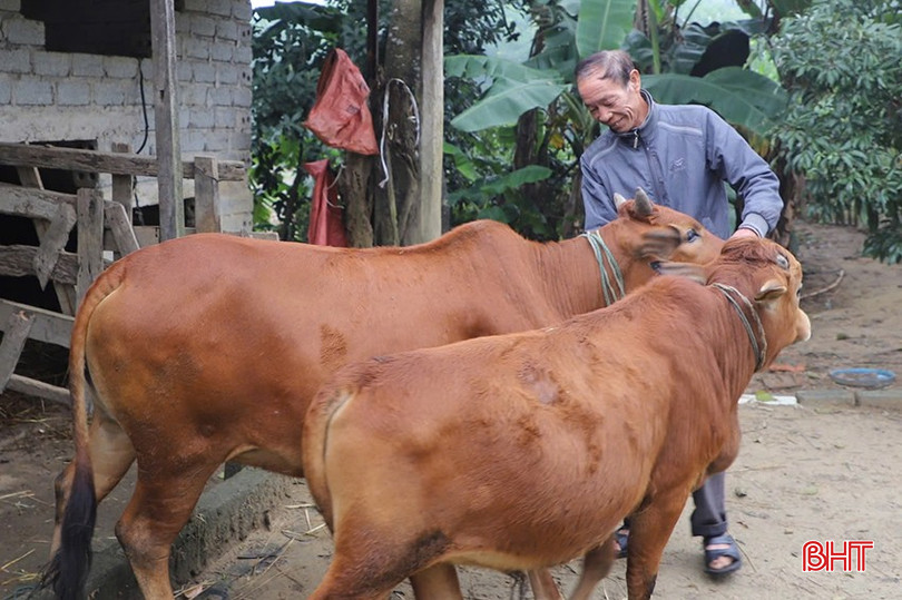 Vốn chính sách đã giúp người dân vùng sâu, vùng xa của xã Kỳ Hoa mạnh dạn phát triển mô hình kinh tế, nâng cao thu nhập. bqbht_br_z6164519637496-6433e07e92a42d397fb50785cf055fa0.jpg