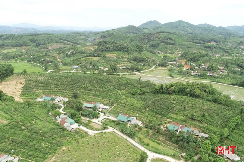 Người dân xã Đức Lĩnh mạnh dạn đầu tư phát triển kinh tế vườn đồi từ nguồn vốn tín dụng chính sách xã hội. bqbht_br_z5984297521720-c10f46203ff1f2e91878c4a77b8499e5.jpg