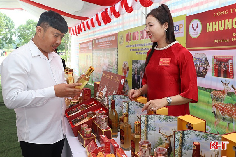 Doanh nghiệp tư nhân ở xã Sơn Giang được vay vốn đầu tư sản xuất - kinh doanh. bqbht_br_img-6494.jpg