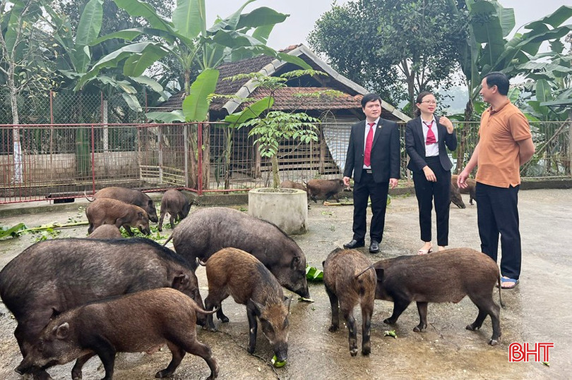 Nguồn vốn vay tại Agribank Chi nhánh tỉnh Hà Tĩnh được khách hàng sử dụng hiệu quả. bqbht_br_z6027787740639-787e165ec5f10ac3856217148713ee1e-1.jpg