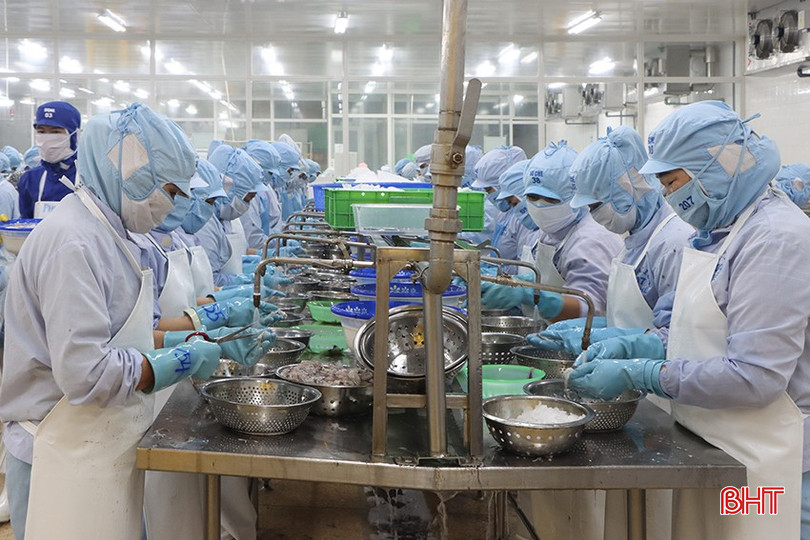 Khoảng 70% nhu cầu tín dụng ở Hà Tĩnh tập trung vào lĩnh vực sản xuất – kinh doanh, lĩnh vực ưu tiên. bqbht_br_0957.jpg