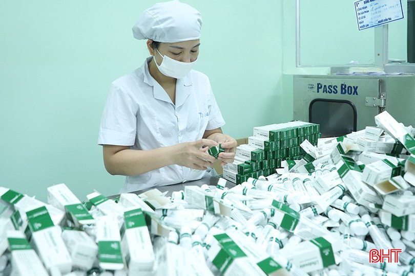 Dược phẩm Hà Tĩnh đã được xuất khẩu đi khu vực Đông Nam Á. bqbht_br_049.jpg