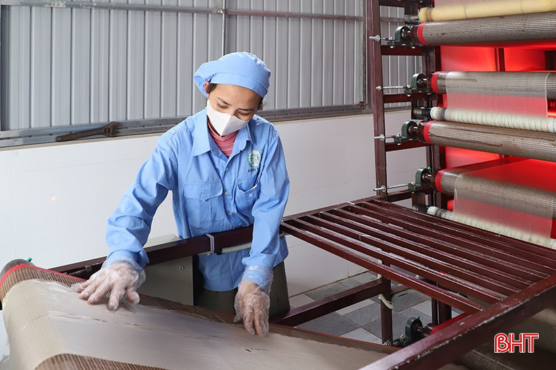 Một trong những điểm nhấn của Nghị quyết 68 là quan tâm hỗ trợ hộ kinh doanh phát triển. bqbht_br_090.jpg