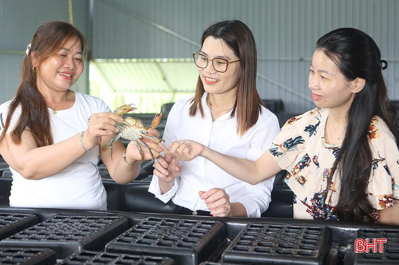 z5657656781634_a086fe7d0f1bcc23a6ceedbfdc5e1760 (1).jpg