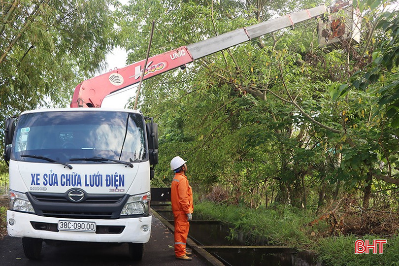 Ngành chuyên môn tập trung cao cho công tác xử lý hành lang an toàn lưới điện. 444-2476.jpg