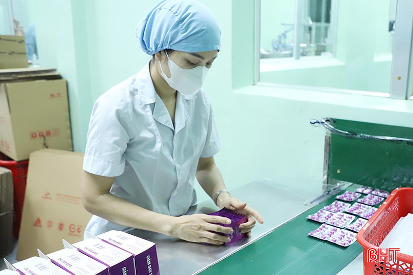 Hà Tĩnh đã có nhiều sản phẩm tham gia xuất khẩu. bqbht_br_img-3893.jpg