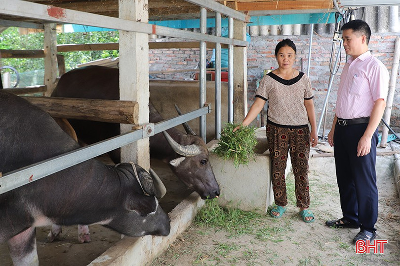 Lãnh đạo Ngân hàng CSXH huyện Vũ Quang kiểm tra mục đích sử dụng vốn chương trình GQVL. 122-9699.jpg