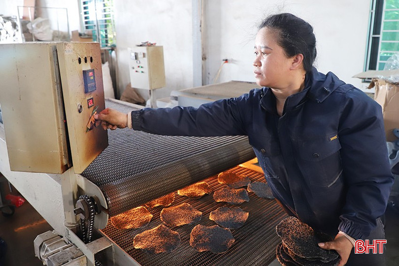 Hợp tác xã Sản xuất thương mại và Dịch vụ Nguyên Lâm (xã Kỳ Anh) được Agribank cho vay hàng tỷ đồng đầu tư sản xuất, kinh doanh. bqbht_br_056.jpg
