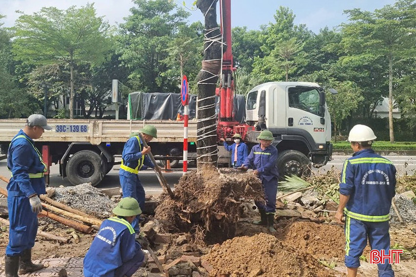 Công nhân Công ty CP Môi trường và công trình đô thị Hà Tĩnh hỗ trợ trồng mới cây xanh sau bão tại TP Hà Nội. z5825502831236_ae56796e2e8410b31add5f65accd3c45.jpg