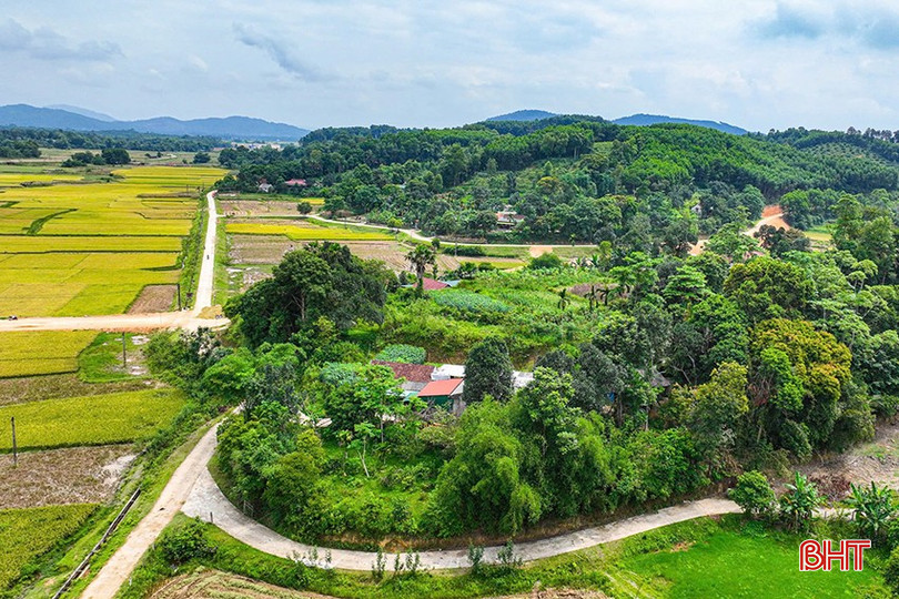 Xã Kim Hoa đặt mục tiêu đến năm 2030 sẽ thành lập thêm 10 doanh nghiệp, phát triển chuỗi sản xuất trong các lĩnh vực thế mạnh như: trồng rừng gỗ lớn đạt chuẩn FSC, trồng cam, chăn nuôi hươu... bqbht_br_09114.jpg