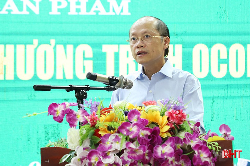 Phó Chủ tịch Thường trực UBND tỉnh Nguyễn Hồng Lĩnh phát biểu tại hội nghị. 609.JPG