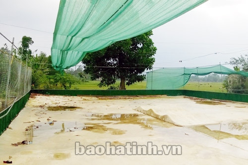 Điều kiện kỹ thuật không đảm bảo an toàn cho người chơi