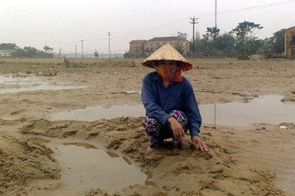 Nhà bà Nguyễn Thị Nghĩa bị lũ đánh sập Sau nhiều ngay ngâm trong nước lũ, nhiều người đã bị nước ăn chân Chị Trần Thi Soa ngán ngẫm chưa biết tính sao khi nước lũ rút để lại toàn cát trên 2 sào ruộng của gia đình Không chỉ ruộng chị Soa mà cả xã Liên Minh có đến 5 ha bị ngập cát Tường bao phía trước trường THCS bị đổ hoàn toàn... phía sau đổ một nửa Hàng chục bàn ghế hư hỏng, rữa ra sau khi nước rút