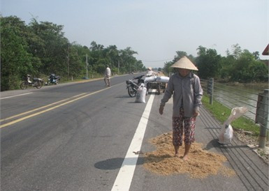 Tranh thủ trời nắng, nông dân xã Cẩm Vịnh chở lúa bị ướt lên đường hong phơi