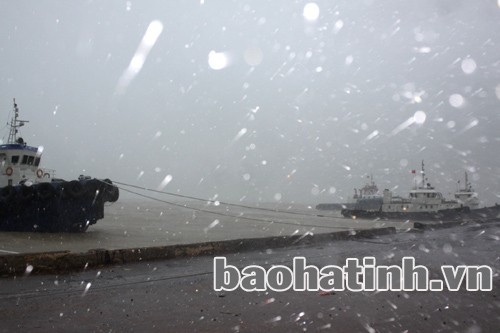 Dù đã chằng néo nhưng do gió to, sóng lớn nên tàu thuyền trở nên lênh đênh