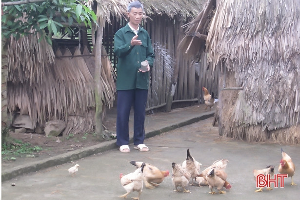 Vũ Quang: Tổng đàn gà mỗi năm tăng thêm 37 ngàn con