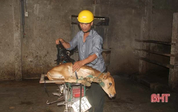 thach ha siet chat hoat dong giet mo gia suc gia cam