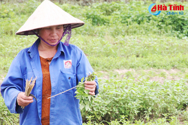 bi xanh cam binh cho cua vao sieu thi nguoi trong tim thuong lai thu mua