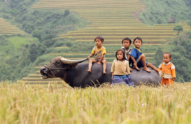 Dạy con đối mặt với khó khăn thế nào? ảnh 1 day con doi mat voi kho khan the nao