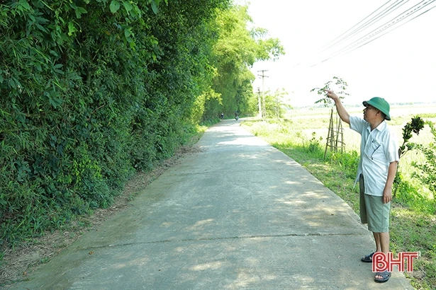 Độc đáo nét "phố trong làng" ở khu dân cư vùng lũ Hà Tĩnh ảnh 2 doc dao net pho trong lang o khu dan cu vung lu ha tinh