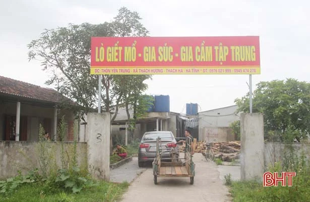 thach ha siet chat hoat dong giet mo gia suc gia cam