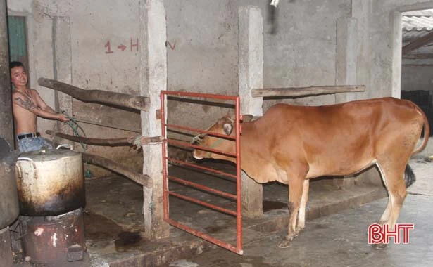 thach ha siet chat hoat dong giet mo gia suc gia cam