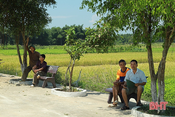 Độc đáo nét "phố trong làng" ở khu dân cư vùng lũ Hà Tĩnh ảnh 6 doc dao net pho trong lang o khu dan cu vung lu ha tinh
