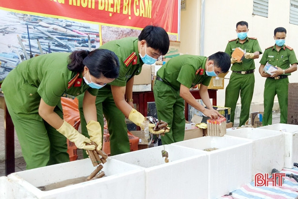 Công an Thạch Hà tiêu hủy 320 súng tự chế, 203 kg pháo lậu