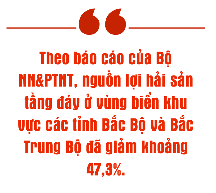 Khai thác gắn với bảo tồn nguồn lợi hải sản - hướng đi tất yếu của ngư dân Hà Tĩnh