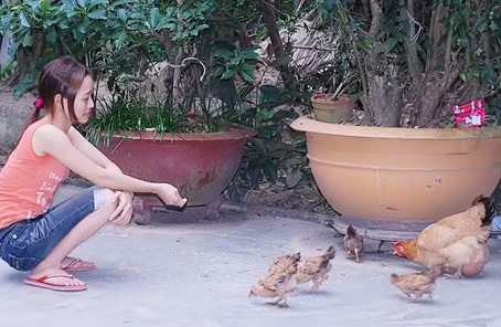 Chủ nhân và con gà đặc biệt