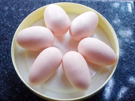 Có thể con gà mới bị đột biến gen?