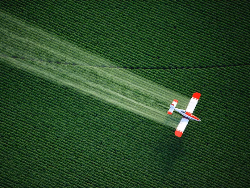 Thế giới ấn tượng từ góc nhìn loài chim