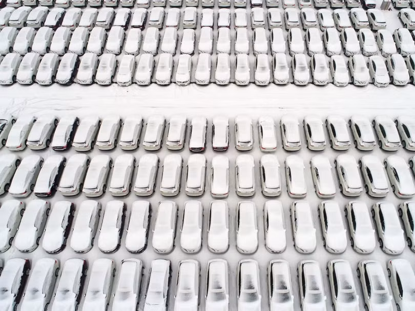 Thế giới ấn tượng từ góc nhìn loài chim