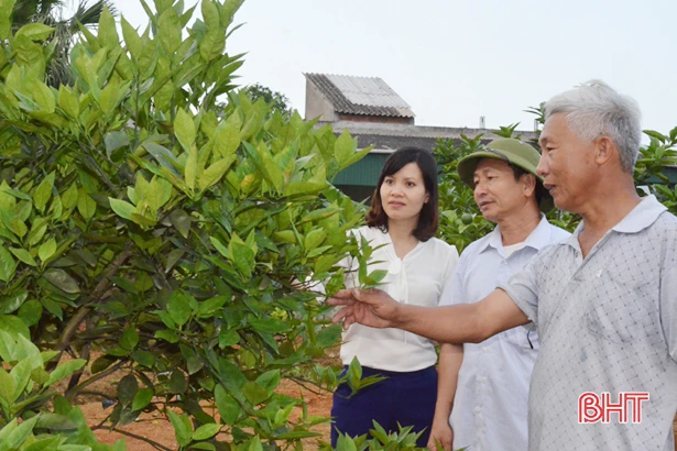 thuc hien nghi quyet 26 chinh sach tam nong giup xa ngheo but pha